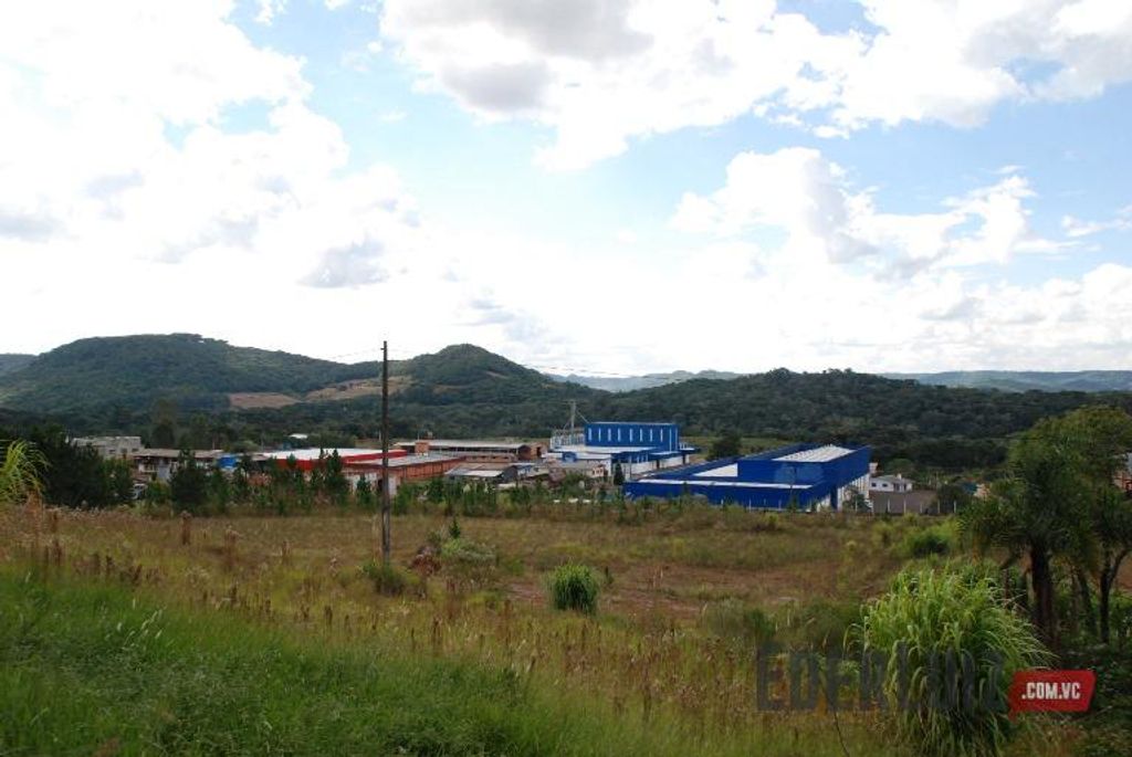 Prefeitura venderá lotes no distrito industrial