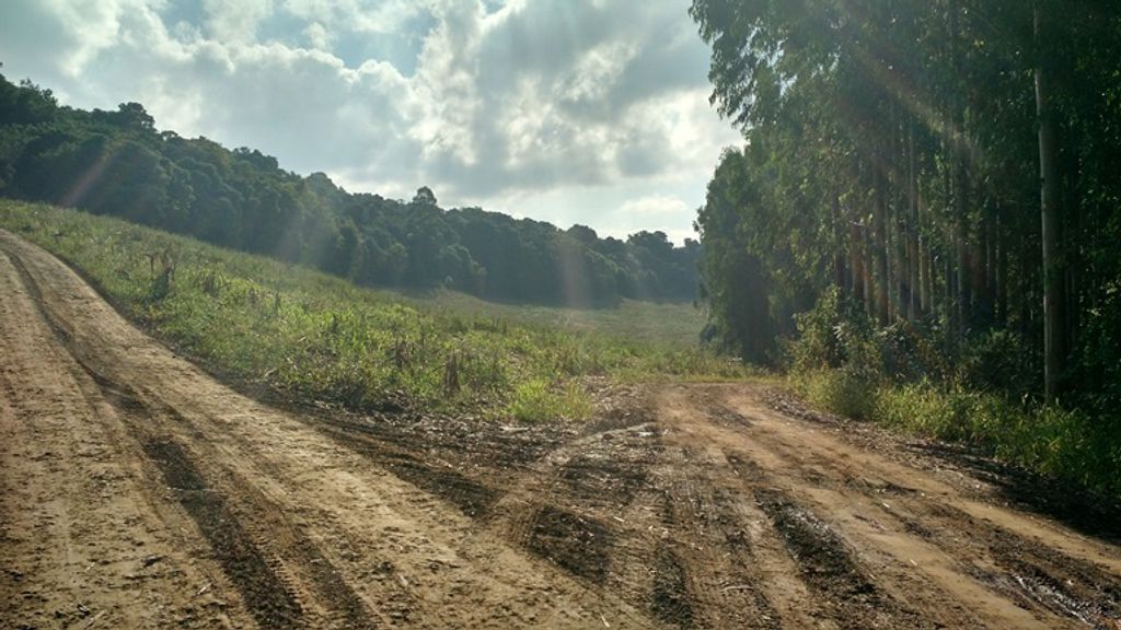 Assista – Corpo encontrado em Jaborá é de Mariane Telles. Perito fala sobre a identificação