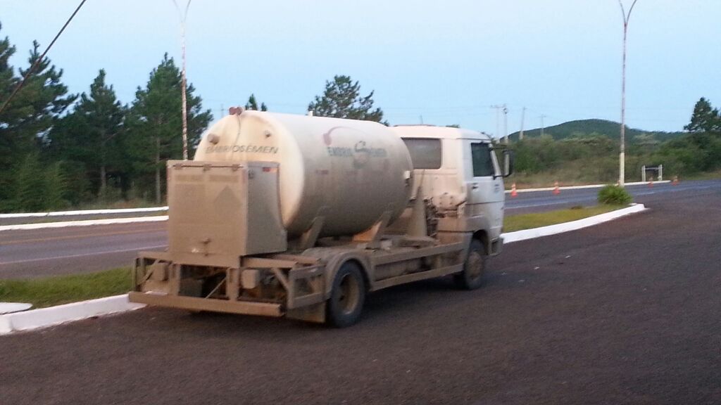 PRF flagra transporte irregular de cargas na BR-282