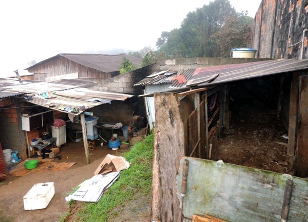 Operação Galeto prende sete pessoas por desvio de frangos