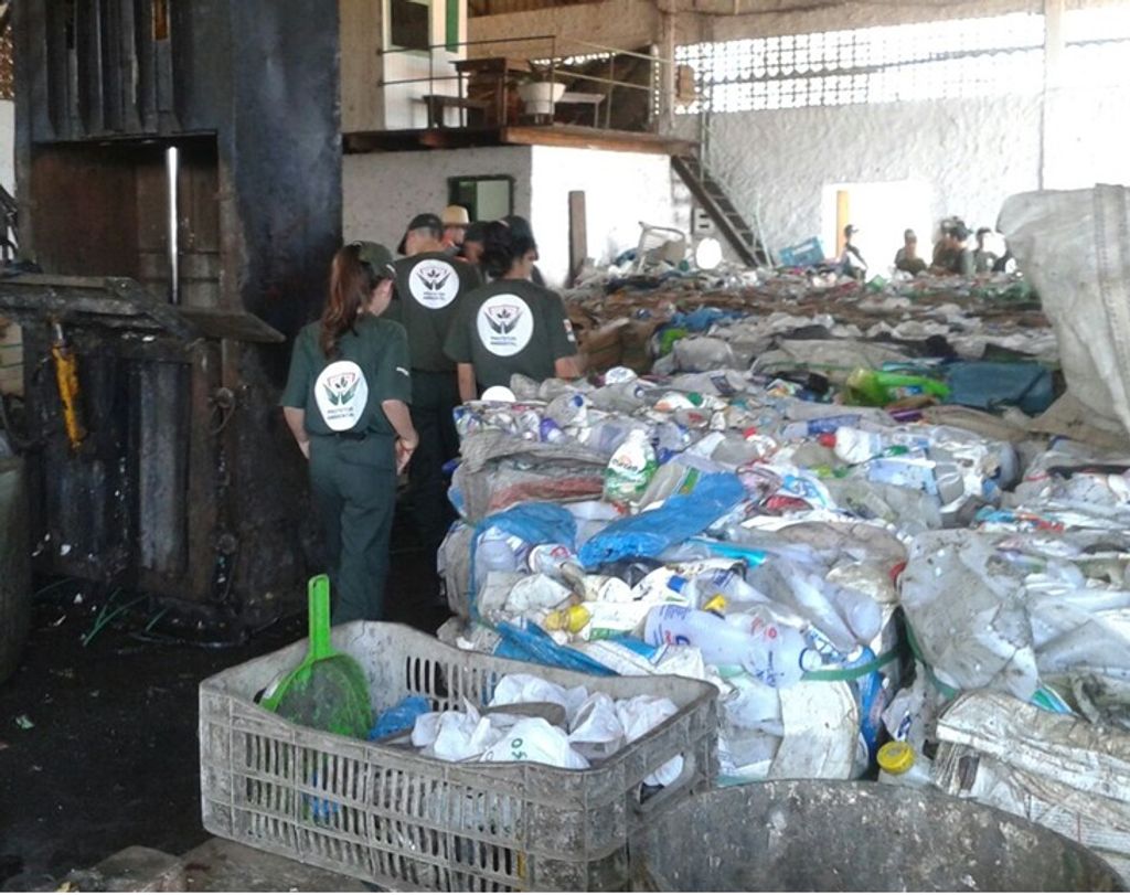 Grupo de Protetores Ambientais realiza semana de estudos com atividades externas