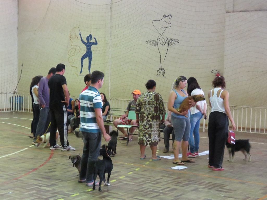 Segunda etapa de cadastramento do Mutirão de Castração acontece nesse domingo (24)