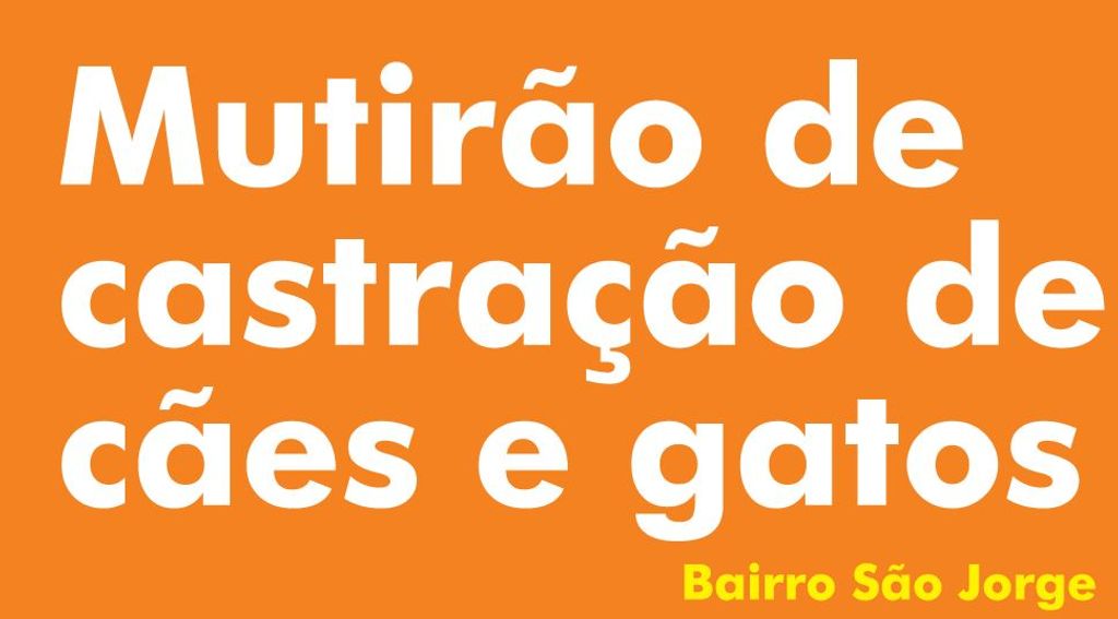 Primeira etapa de cadastramento do Mutirão de Castração acontece nesse domingo (17)