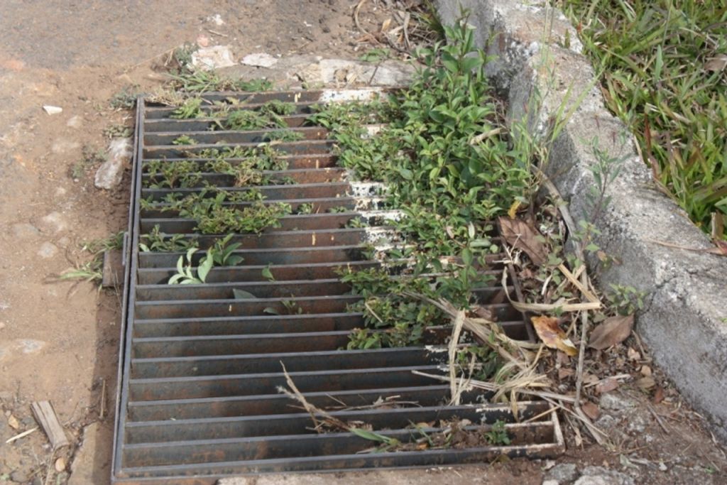 Bocas de lobo entupidas são facilmente encontradas no centro e bairros