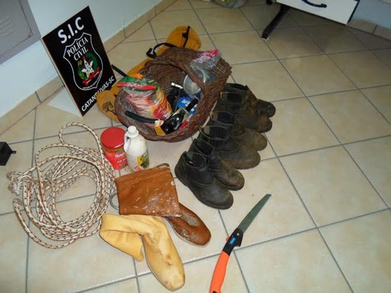 Polícia Civil de Catanduvas recupera produtos furtados em cooperativa