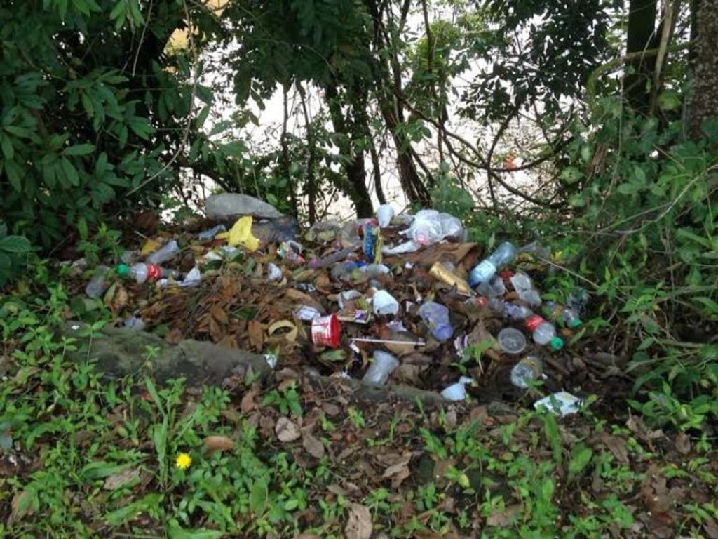 Vereador denuncia lixo e dejetos jogados nas margens do Rio do Peixe