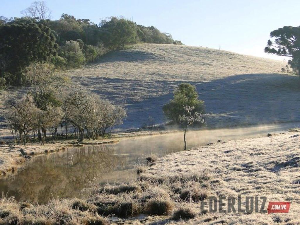 Semana com temperatura abaixo de zero e chance de neve e geada