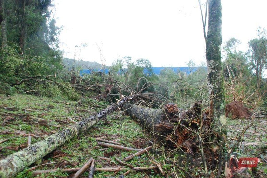 Fotos mostram local onde começou a destruição da noite passada