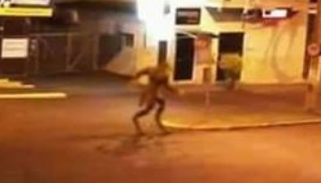 Foto de “lobisomem” intriga internautas