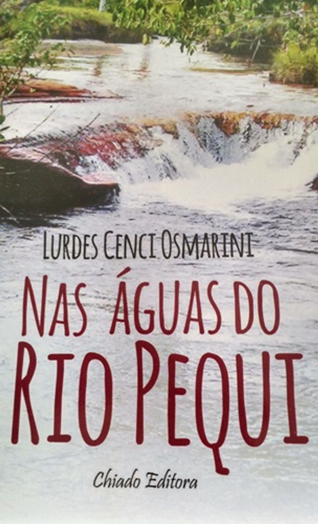 Da quase morte ao recomeço – Escritora natural de Ibicaré lança livro após tragédia que atingiu a família
