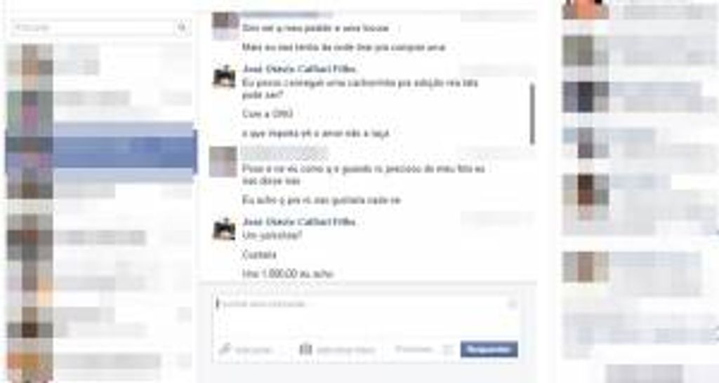 A inusitada situação do vereador que recebeu pedido de eleitora que queria cão de raça