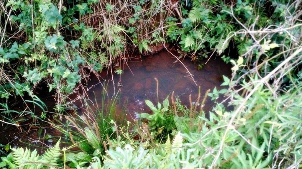 Informação sobre a construção de aterro sanitário no interior de Luzerna mobiliza comunidade contra a iniciativa