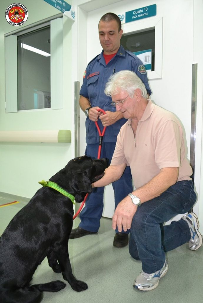 Cães dos bombeiros auxiliam na recuperação de pacientes internado em hospital da região