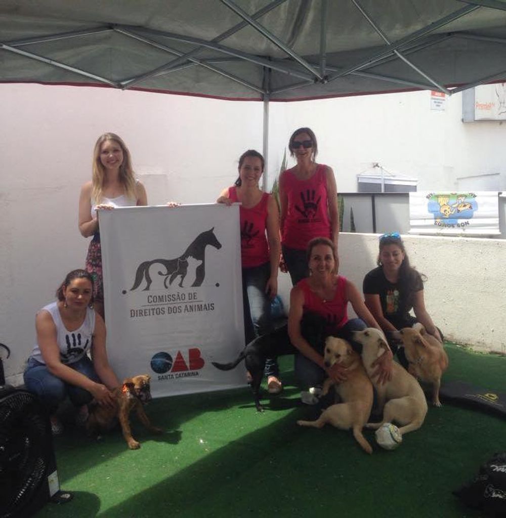 ONG Amigos dos Animais promove 10 adoções, mas muitos outros bichinhos esperam por um lar