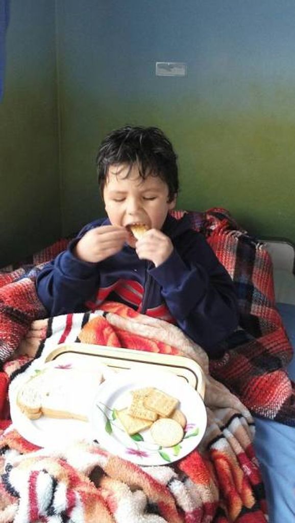Menino de 4 anos passa a noite perdido na mata e é encontrado sem ferimentos