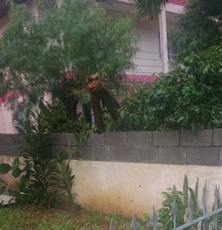 Em Luzerna, chuva e vento assustaram moradores