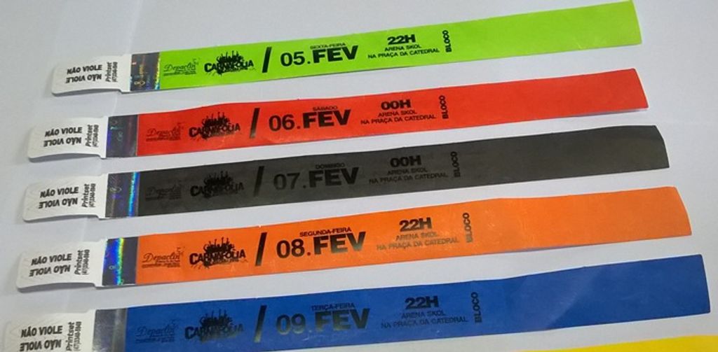 Ingressos do carnaval começam a ser comercializados a partir dessa terça-feira, 22