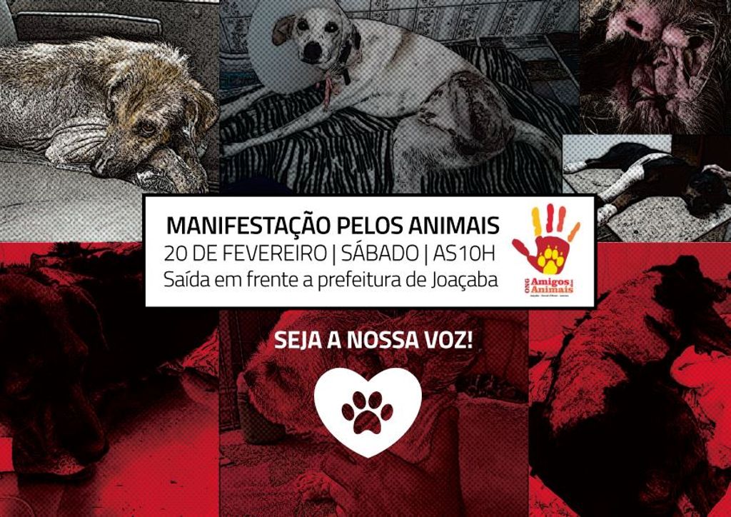 Passeata contra os maus-tratos aos animais acontece neste sábado em Joaçaba
