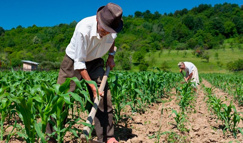 Unoesc ofertará curso para formar agentes populares de educação ambiental na agricultura familiar