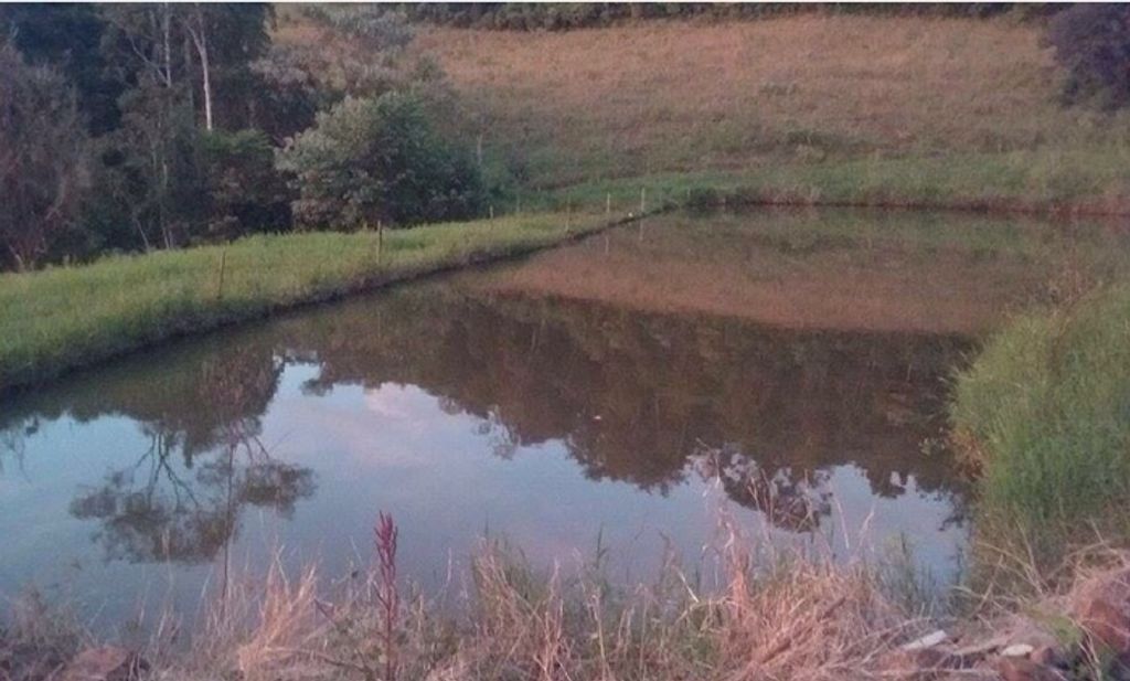 Criança morre afogada em açude em Alto Bela Vista