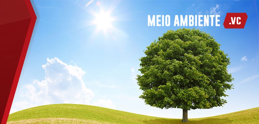 Fatma disponibiliza nova forma para denúncias de situações contra o meio ambiente