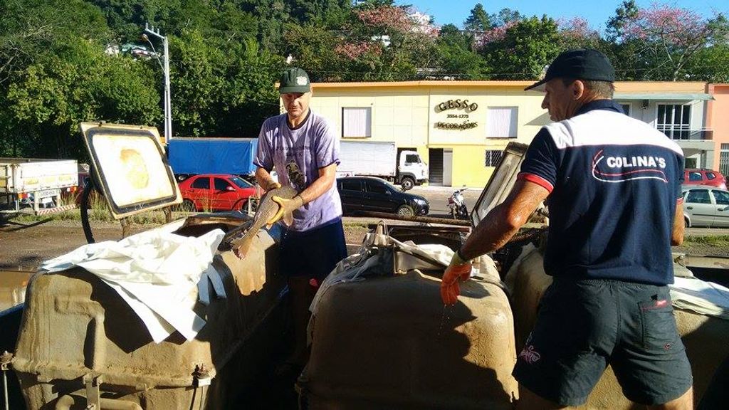 Feira do Peixe vivo em Herval d’ Oeste Reúne dezenas de compradores