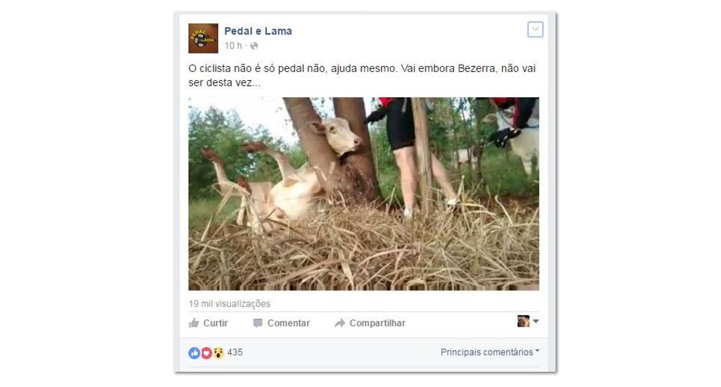 Vídeo de ciclistas ajudando bezerra presa faz sucesso na internet