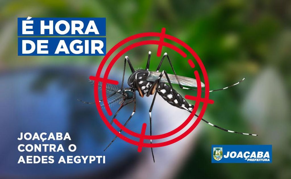 Larvas do Aedes aegypt são encontradas em armadilha no bairro Clara Adélia