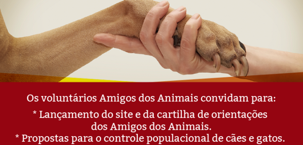 Evento em Joaçaba vai discutir plano de ações para mudar a realidade dos animais de rua