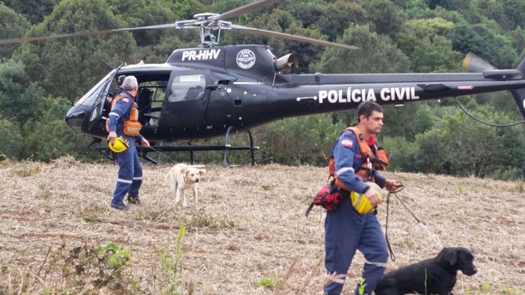 Polícia encontra corpo esquartejado no interior de Caçador