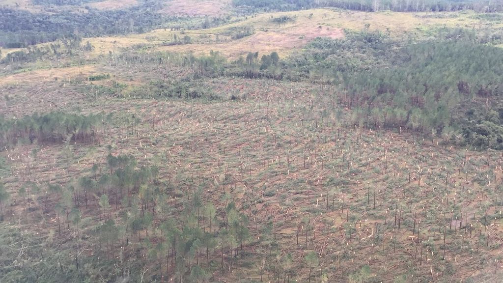 MetSul Meteorologia confirma a formação de célula de tempestade sobre Joaçaba