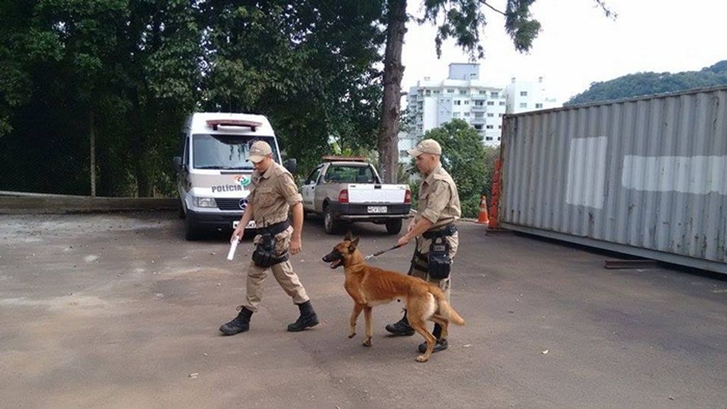 Canil da PM de Herval d’ Oeste: inteligência animal no combate ao crime