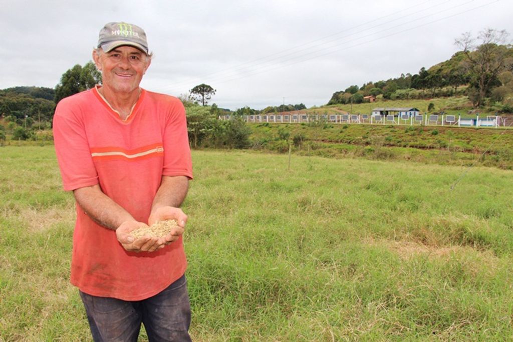 Agricultores de Piratuba só pagam 50% na aquisição de sementes de pastagem