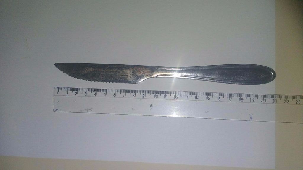 Mãe é morta a facadas pelo próprio filho