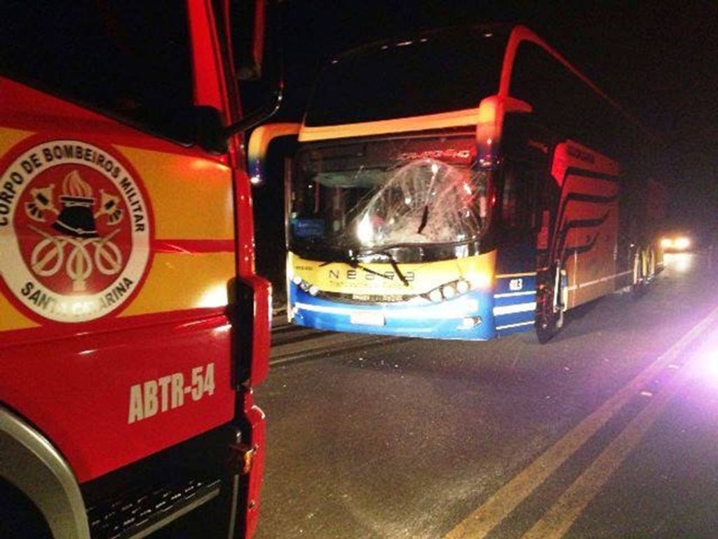 Ônibus de turismo bate em cavalo na BR-282 em Vargem