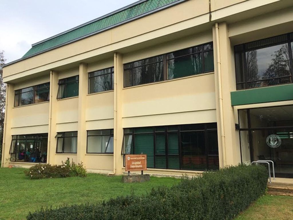 Diretor geral da Unoesc Campos Novos visita curso de Medicina Veterinária em universidade do Chile