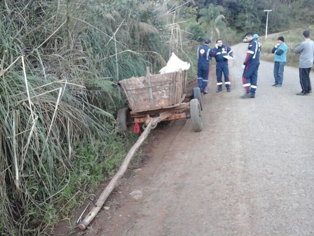 Agricultor morre após cair de carroça em Luzerna