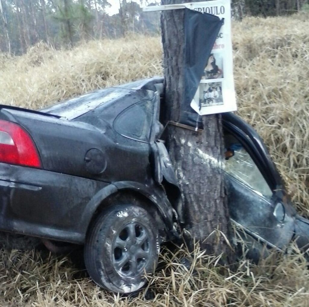 Carro bate em árvore e populares controlam princípio de incêndio em Castelo Branco
