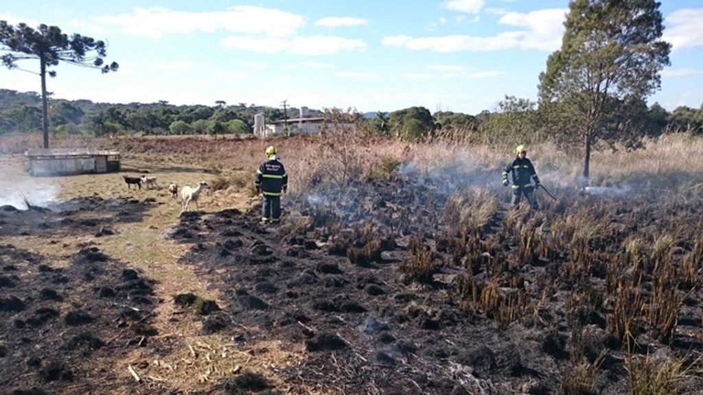 Incêndio em vegetação por pouco não atinge ferro velho em Joaçaba