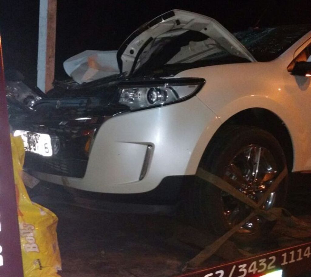 Veículo atropela e mata dois cavalos na BR-282 próximo ao trevão do Irani