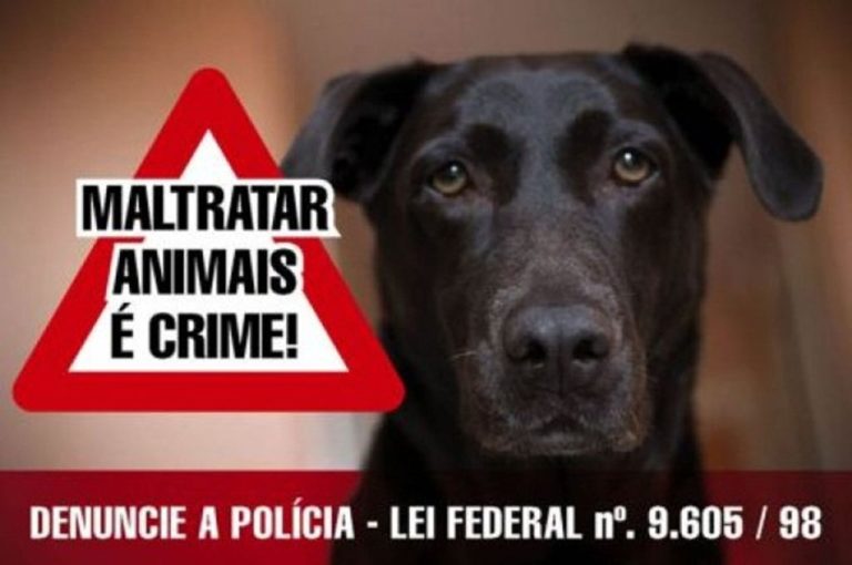 Crueldade: Cachorro é queimado vivo em Linha Santana, interior de Ipira