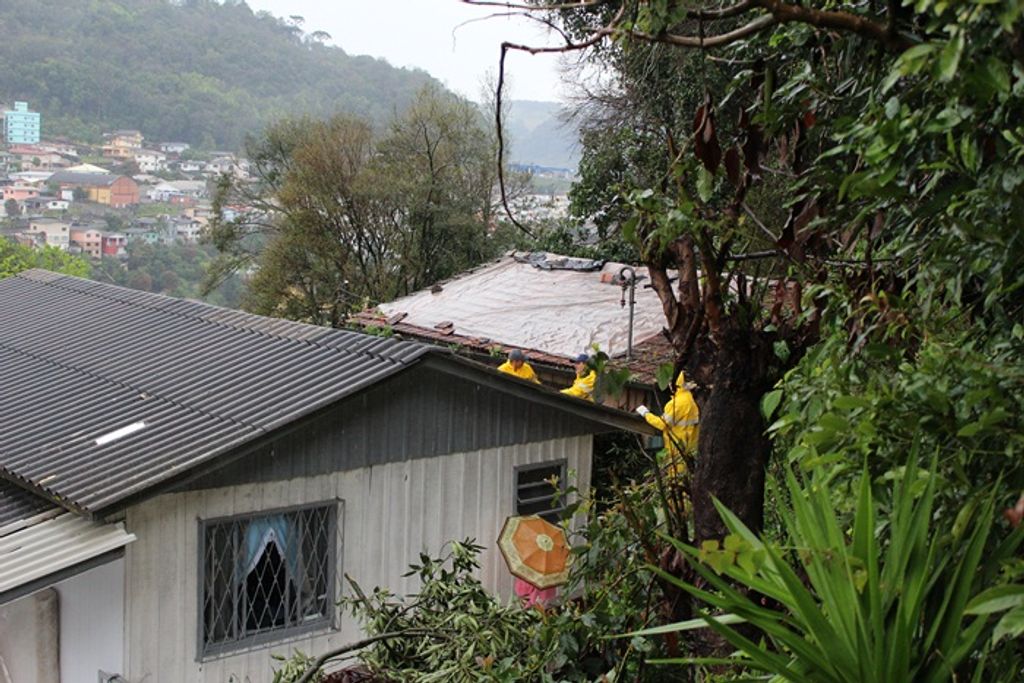Queda de galhos sobre casa causa prejuízos para moradora de Joaçaba
