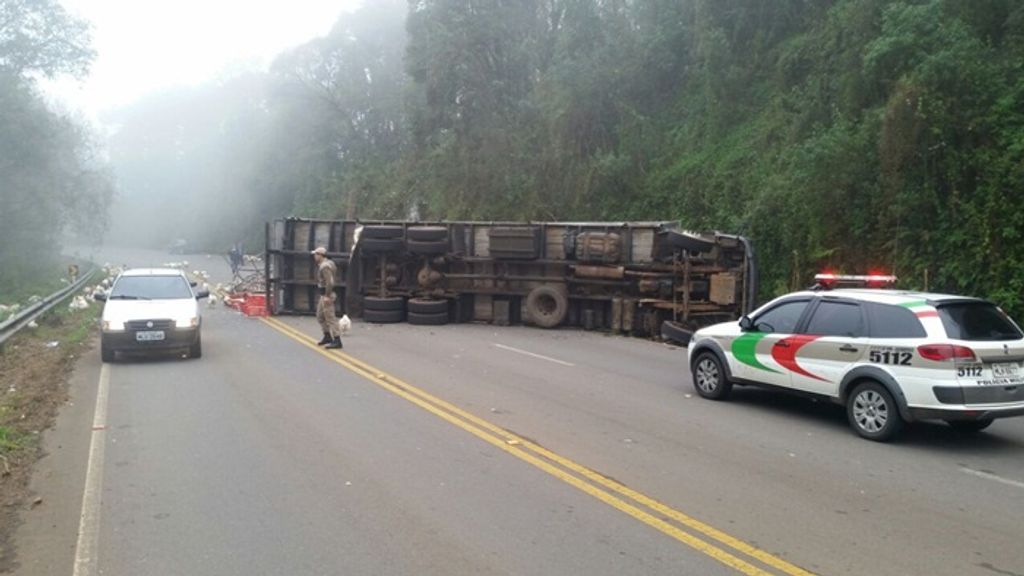 Caminhão que transporta frangos tomba na SC 150 em Lacerdópolis