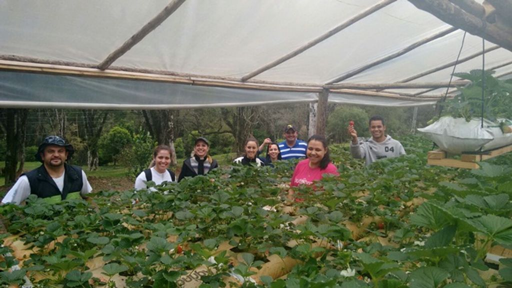 Alunos da região participam de Programa de Educação Ambiental para Agricultura Familiar