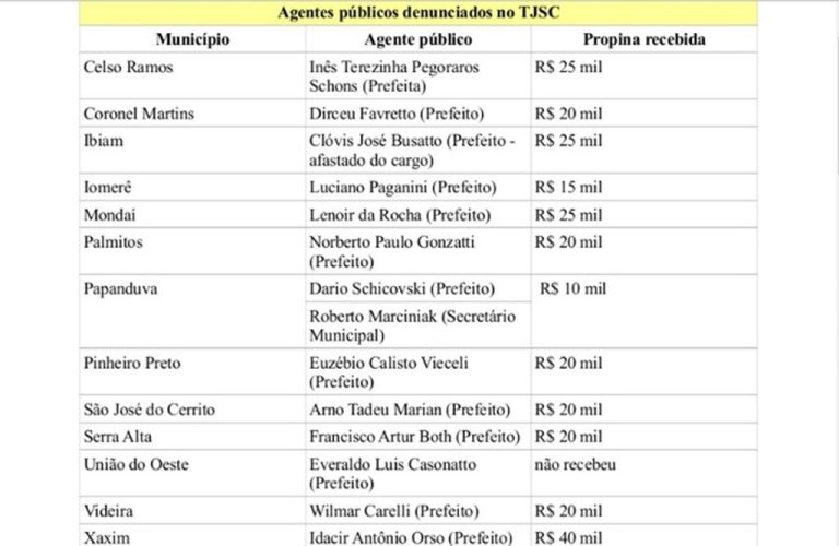 Nomes, valores de propinas e trechos de depoimentos da Operação Patrola são divulgados