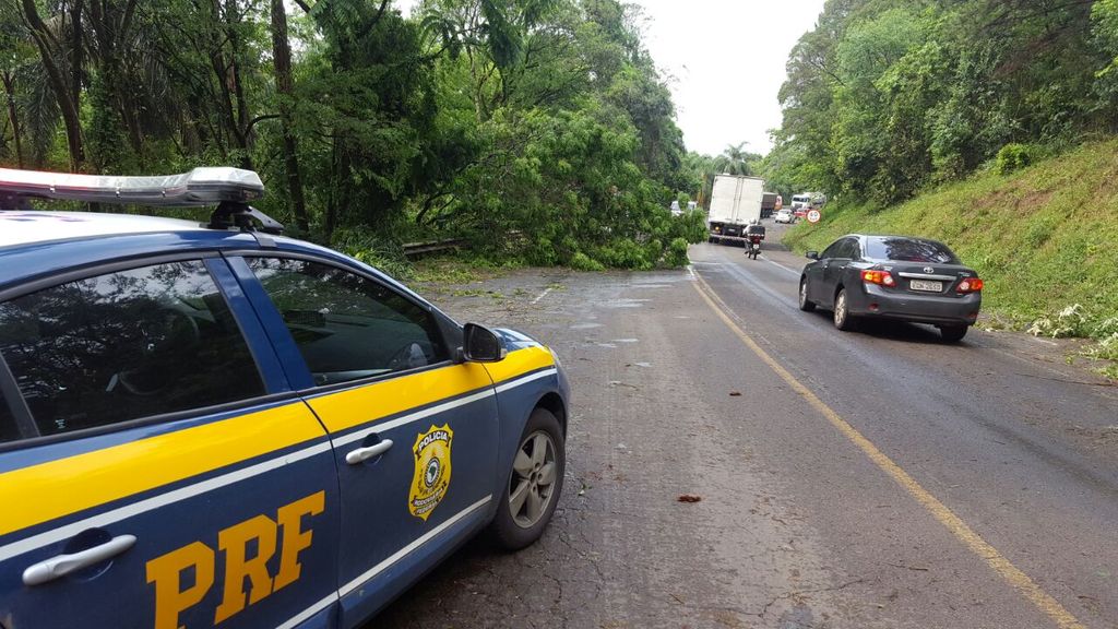 Temporal causa transtornos em Joaçaba e Herval d’ Oeste