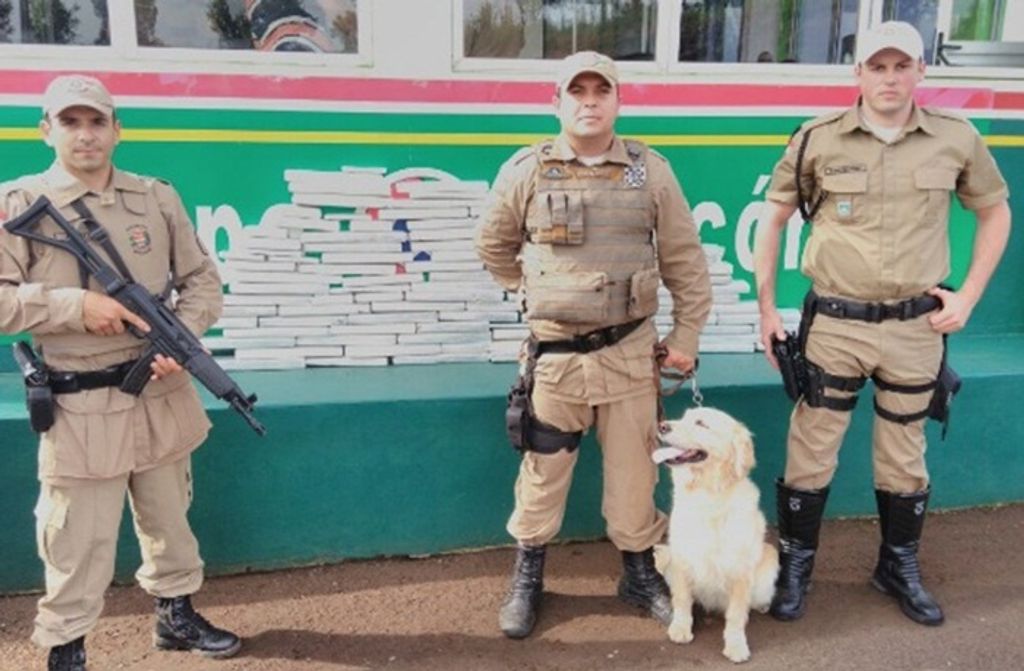 Mais de 80 KG de maconha são apreendidos em Concórdia