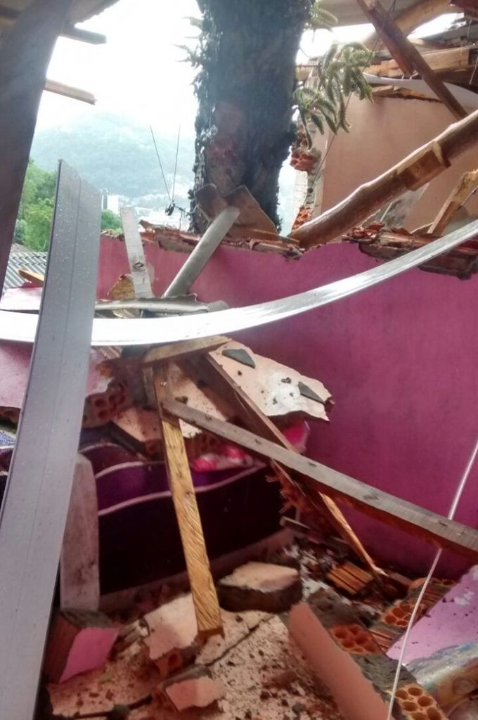 Moradores de casa destruída por árvore precisam de ajuda