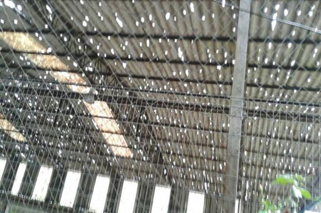 Prejuízos causados pelo granizo em Fraiburgo ainda são incalculáveis