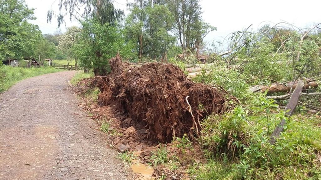 Temporal causa estragos também no interior de Joaçaba